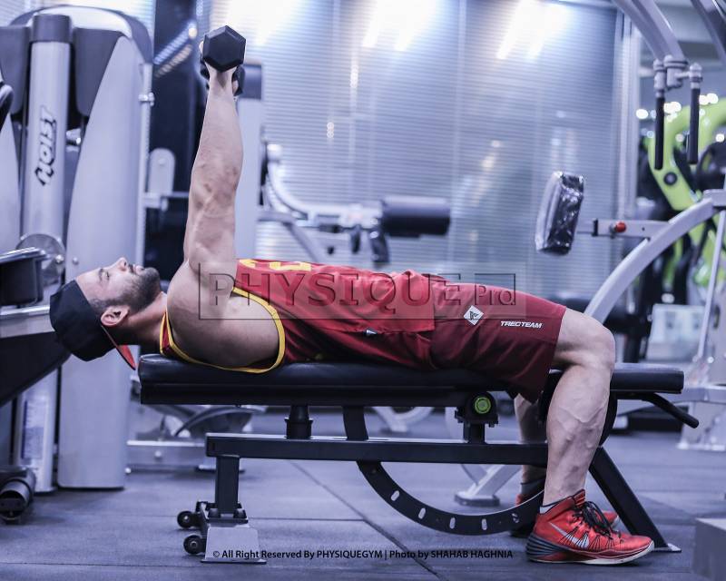 پشت بازو دمبل خوابیده فیزیک پرو