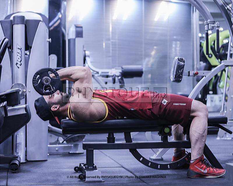 پشت بازو هالتر خوابیده فیزیک پرو