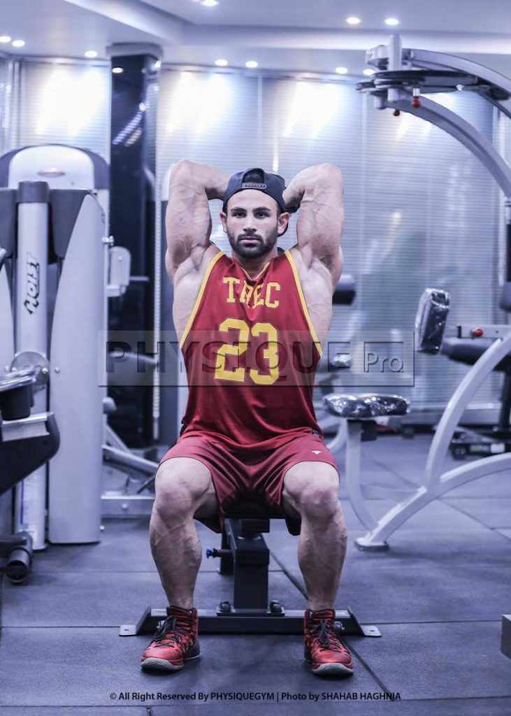 پشت بازو دمبل نشسته ( پشت بازو فرانسوی )