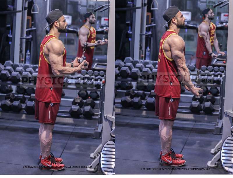 آموزش حرکت پوش دان مچ برعكس ( پشت بازو سیم كش مچ برعكس)